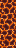 Magma Block